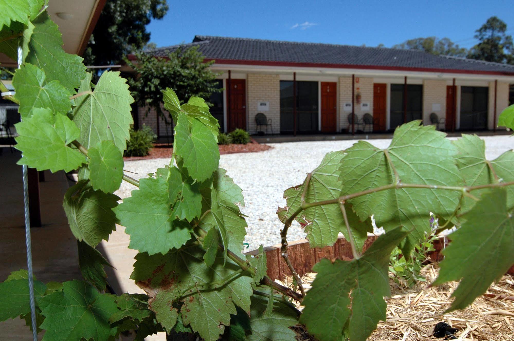 Motel Woongarra Rutherglen Εξωτερικό φωτογραφία